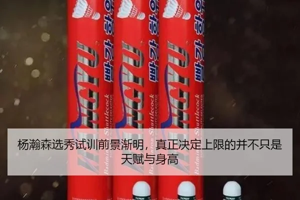 杨瀚森选秀试训前景渐明，真正决定上限的并不只是天赋与身高